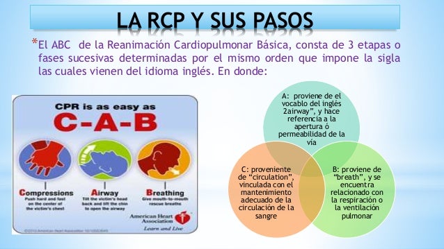 Rcp completo