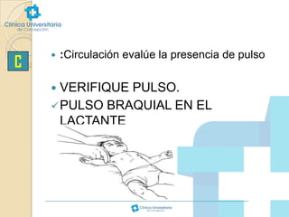 C



:Circulación evalúe la presencia de pulso

VERIFIQUE PULSO.
 PULSO BRAQUIAL EN EL
LACTANTE


 