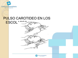 PULSO CAROTIDEO EN LOS
ESCOLARES

 