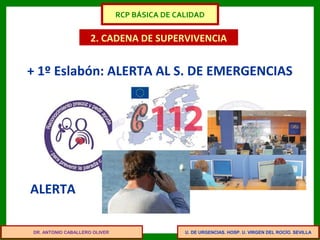 U. DE URGENCIAS. HOSP. U. VIRGEN DEL ROCÍO. SEVILLA
2. CADENA DE SUPERVIVENCIA
+ 1º Eslabón: ALERTA AL S. DE EMERGENCIAS
ALERTA
DR. ANTONIO CABALLERO OLIVER
RCP BÁSICA DE CALIDAD
 