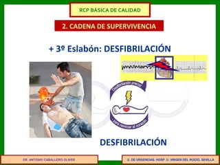 U. DE URGENCIAS. HOSP. U. VIRGEN DEL ROCÍO. SEVILLA
2. CADENA DE SUPERVIVENCIA
+ 3º Eslabón: DESFIBRILACIÓN
DESFIBRILACIÓN
DR. ANTONIO CABALLERO OLIVER
RCP BÁSICA DE CALIDAD
 