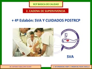 U. DE URGENCIAS. HOSP. U. VIRGEN DEL ROCÍO. SEVILLA
2. CADENA DE SUPERVIVENCIA
+ 4º Eslabón: SVA Y CUIDADOS POSTRCP
SVA
DR. ANTONIO CABALLERO OLIVER
RCP BÁSICA DE CALIDAD
 
