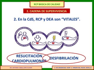 U. DE URGENCIAS. HOSP. U. VIRGEN DEL ROCÍO. SEVILLA
2. CADENA DE SUPERVIVENCIA
2. En la CdS, RCP y DEA son “VITALES”.
RESUCITACIÓN
CARDIOPULMONAR
DESFIBRILACIÓN
DR. ANTONIO CABALLERO OLIVER
RCP BÁSICA DE CALIDAD
 