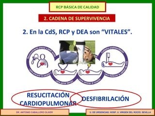 U. DE URGENCIAS. HOSP. U. VIRGEN DEL ROCÍO. SEVILLA
2. CADENA DE SUPERVIVENCIA
2. En la CdS, RCP y DEA son “VITALES”.
RESUCITACIÓN
CARDIOPULMONAR
DESFIBRILACIÓN
DR. ANTONIO CABALLERO OLIVER
RCP BÁSICA DE CALIDAD
 