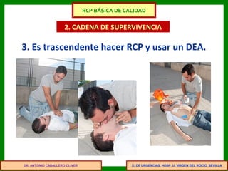 U. DE URGENCIAS. HOSP. U. VIRGEN DEL ROCÍO. SEVILLA
2. CADENA DE SUPERVIVENCIA
3. Es trascendente hacer RCP y usar un DEA.
DR. ANTONIO CABALLERO OLIVER
RCP BÁSICA DE CALIDAD
 