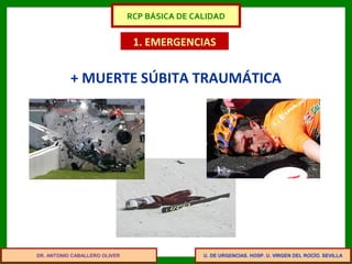 U. DE URGENCIAS. HOSP. U. VIRGEN DEL ROCÍO. SEVILLA
1. EMERGENCIAS
+ MUERTE SÚBITA TRAUMÁTICA
DR. ANTONIO CABALLERO OLIVER
RCP BÁSICA DE CALIDAD
 