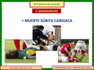 U. DE URGENCIAS. HOSP. U. VIRGEN DEL ROCÍO. SEVILLA
1. EMERGENCIAS
+ MUERTE SÚBITA CARDIACA
DR. ANTONIO CABALLERO OLIVER
RCP BÁSICA DE CALIDAD
 