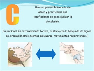 C Una vez permeabilizada la vía aérea y practicadas dos insuflaciones se debe evaluar la circulación. En personal sin entrenamiento formal, bastaría con la búsqueda de signos de circulación (movimientos del cuerpo, movimientos respiratorios…) 