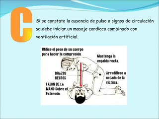 C Si se constata la ausencia de pulso o signos de circulación se debe iniciar un masaje cardiaco combinado con ventilación artificial. 