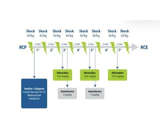 rcp en pediatría.pptx