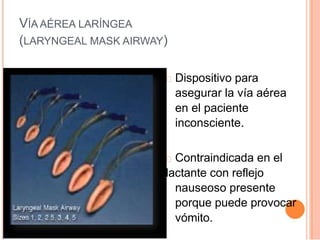 VÍA AÉREA LARÍNGEA
(LARYNGEAL MASK AIRWAY)
Dispositivo para
asegurar la vía aérea
en el paciente
inconsciente.
Contraindicada en el
lactante con reflejo
nauseoso presente
porque puede provocar
vómito.
 