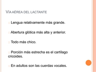 VÍA AÉREA DEL LACTANTE
Lengua relativamente más grande.
Abertura glótica más alta y anterior.
Todo más chico.
Porción más estrecha es el cartílago
cricoides.
En adultos son las cuerdas vocales.
 