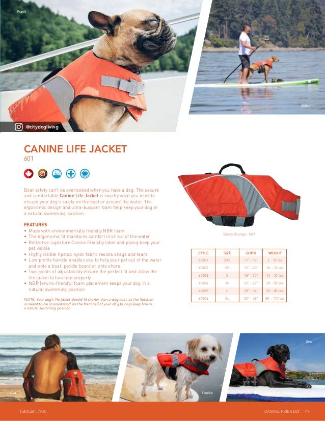 good2go dog life jacket