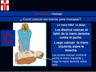 Circulación: masaje
¿ Como colocar las manos para masajear?
Los diestros colocan el
talón de la mano derecha
contra el pecho..
Luego colocan la mano
izquierda sobre la
derecha.
La mano hábil va abajo
Los zurdos colocan contra el
pecho la mano izquierda y
luego la mano derecha sobre
esta.
C
 