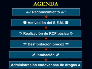  Reconocimiento 
 Activación del S.E.M. 
 Realización de RCP básica 
 Desfibrilación precoz 
 Intubación 
Administración endovenosa de drogas 





AGENDA
 