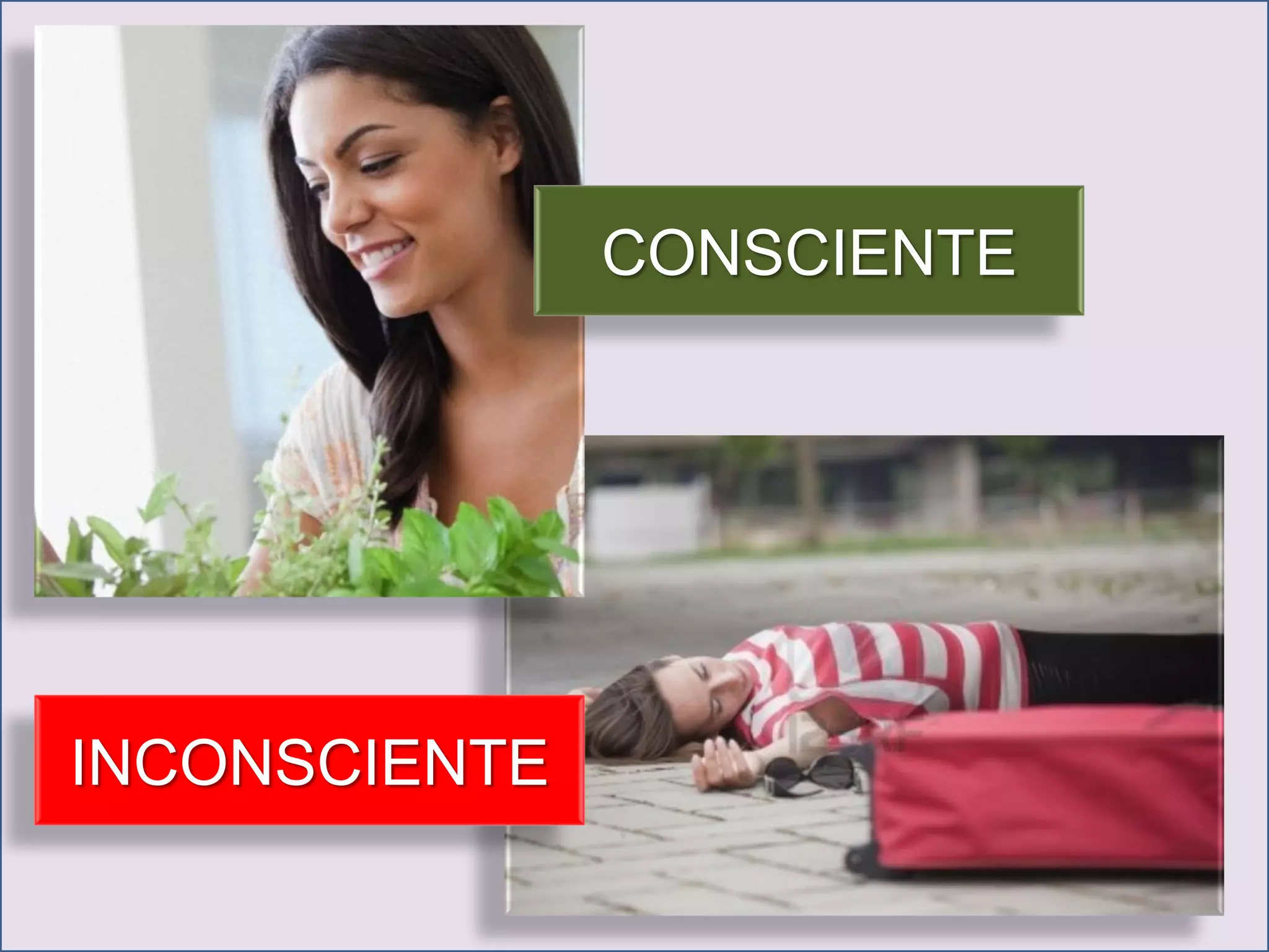 CONSCIENTE

INCONSCIENTE

 