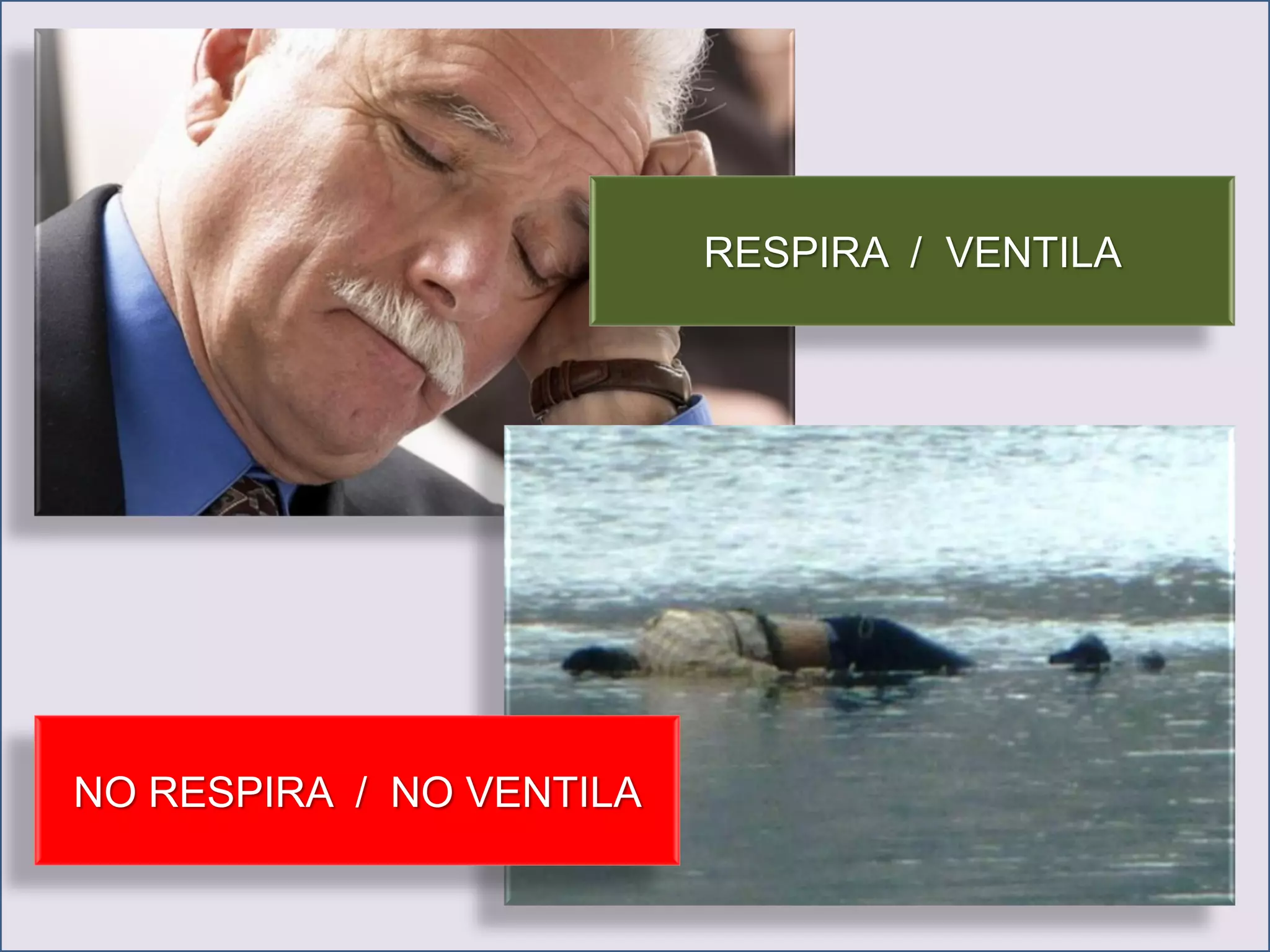 RESPIRA / VENTILA

NO RESPIRA / NO VENTILA

 