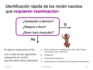 Identificación rápida de los recién nacidos
que requieren reanimación:
RCP Neonatal
Si
No
Si alguna respuesta es No,
uno o más de las siguientes
categorías de acción
secuenciales debe realizarse:
A. Pasos iniciales de la estabilización (Dar calor, limpiar
vías aéreas, secar, estimular).
B. Ventilación.
C. Compresiones torácicas.
D. Administración de Epinefrina y/o Expansión de volumen.
¿Gestación a término?
¿Respira o llora?
¿Buen tono muscular?
Amanzo 15
 