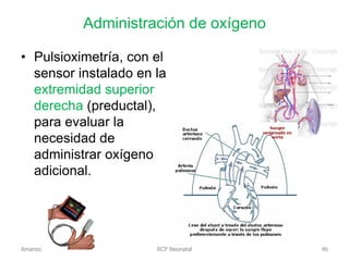 Administración de oxígeno
RCP Neonatal
• Pulsioximetría, con el
sensor instalado en la
extremidad superior
derecha (preductal),
para evaluar la
necesidad de
administrar oxígeno
adicional.
Amanzo 46
 