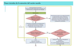 Pasos iniciales de la atención del recién nacido
 