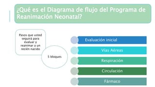 ¿Qué es el Diagrama de flujo del Programa de
Reanimación Neonatal?
Pasos que usted
seguirá para
evaluar y
reanimar a un
recién nacido
5 bloques
Evaluación inicial
Vías Aéreas
Respiración
Circulación
Fármaco
 