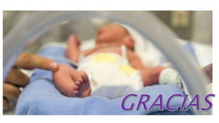 Rcp neonatal