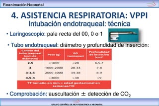 Intubación endotraqueal: técnica
4. ASISTENCIA RESPIRATORIA: VPPI
• Laringoscopio: pala recta del 00, 0 o 1
• Tubo endotraqueal: diámetro y profundidad de inserción:
• Comprobación: auscultación ± detección de CO2
 