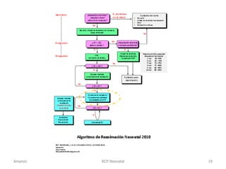 RCP Neonatal