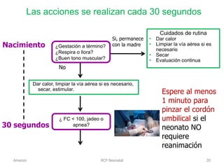 RCP Neonatal