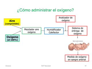 RCP Neonatal