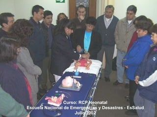 RCP Neonatal