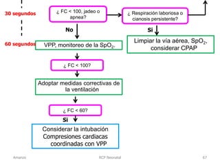 RCP Neonatal