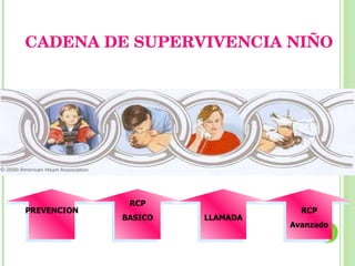 CADENA DE SUPERVIVENCIA NIÑO PREVENCION RCP BASICO LLAMADA RCP Avanzado 