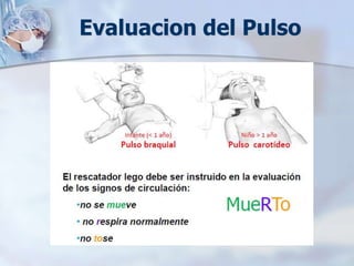 Evaluacion del Pulso 
 
