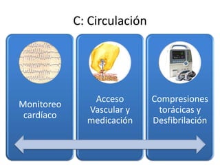 C: Circulación

Monitoreo
cardíaco

Acceso
Vascular y
medicación

Compresiones
torácicas y
Desfibrilación

 