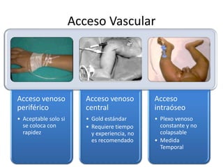 Acceso Vascular

Acceso venoso
periférico

Acceso venoso
central

Acceso
intraóseo

• Aceptable solo si
se coloca con
rapidez

• Gold estándar
• Requiere tiempo
y experiencia, no
es recomendado

• Plexo venoso
constante y no
colapsable
• Medida
Temporal

 