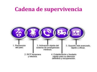 Cadena de supervivencia

 