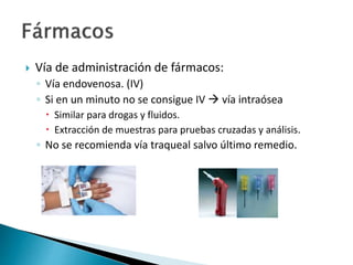  Vía de administración de fármacos:
◦ Vía endovenosa. (IV)
◦ Si en un minuto no se consigue IV  vía intraósea
 Similar para drogas y fluidos.
 Extracción de muestras para pruebas cruzadas y análisis.
◦ No se recomienda vía traqueal salvo último remedio.
 