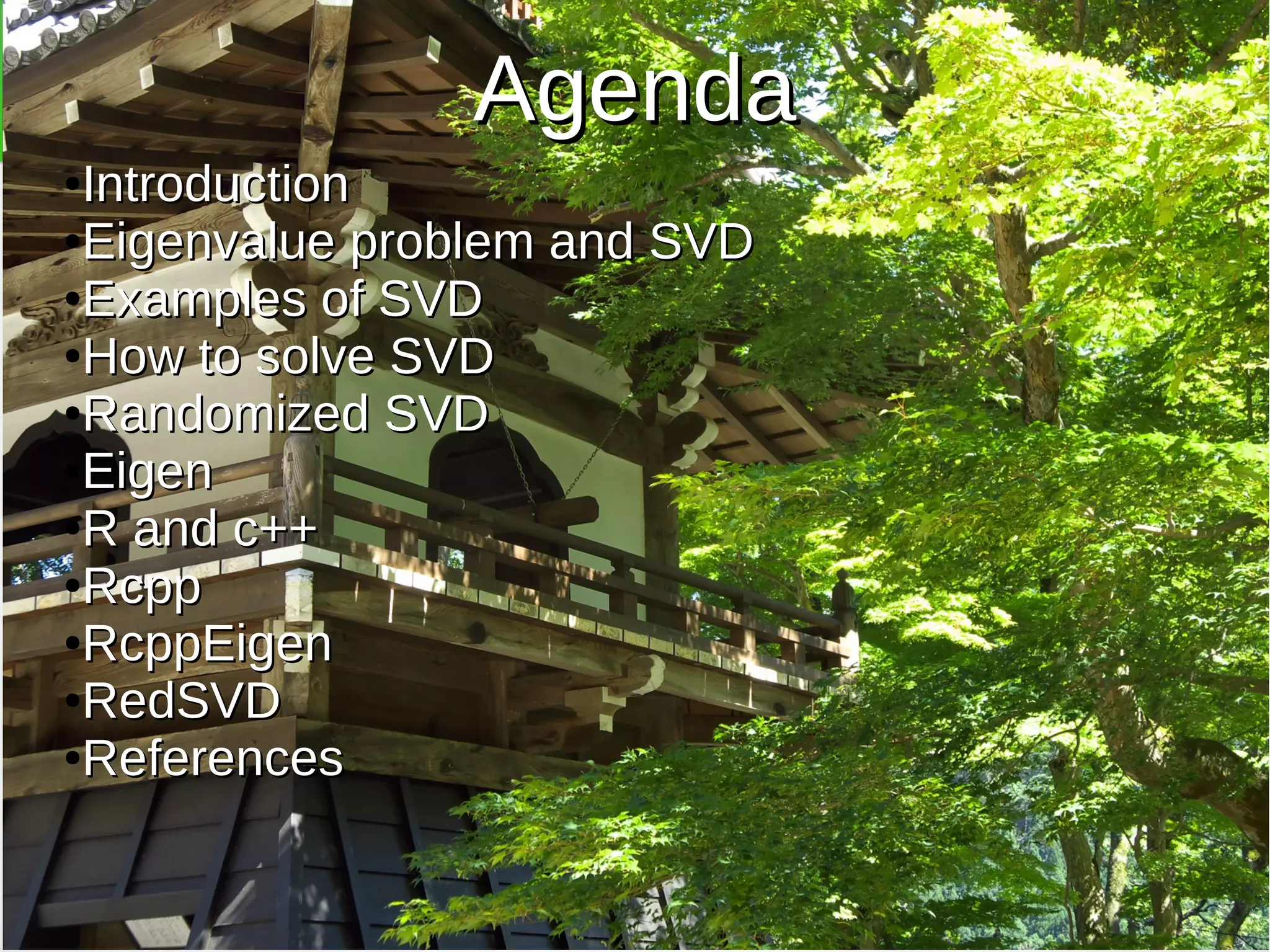 13/08/31 2
AgendaAgenda
●
IntroductionIntroduction
●
Eigenvalue problem and SVDEigenvalue problem and SVD
●
Examples of SVDExamples of SVD
●
How to solve SVDHow to solve SVD
●
Randomized SVDRandomized SVD
●
EigenEigen
●
R and c++R and c++
●
RcppRcpp
●
RcppEigenRcppEigen
●
RedSVDRedSVD
●
ReferencesReferences
 