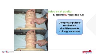 Soporte Vital Básico en el adulto:
El paciente NO responde: C-A-B
Comprobar pulso y
respiración
simultáneamente
(10 seg. o menos)
 