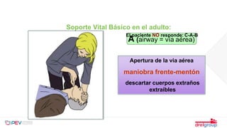 Apertura de la via aérea
maniobra frente-mentón
descartar cuerpos extraños
extraíbles
A (airway = vía aérea)
Soporte Vital Básico en el adulto:
El paciente NO responde: C-A-B
 