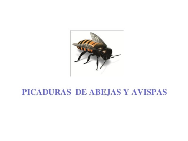 El aumento del miembro viril en el islam