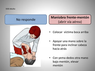 SVB Adulto
• Colocar víctima boca arriba
• Apoyar una mano sobre la
frente para inclinar cabeza
hacia atrás
• Con yema dedos otra mano
bajo mentón, elevar
mentón
Maniobra frente-mentón
(abrir vía aérea)
No responde
 
