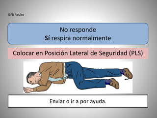 SVB Adulto
Colocar en Posición Lateral de Seguridad (PLS)
No responde
Sí respira normalmente
Enviar o ir a por ayuda.
 