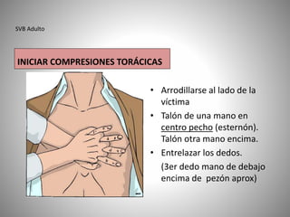 SVB Adulto
• Arrodillarse al lado de la
víctima
• Talón de una mano en
centro pecho (esternón).
Talón otra mano encima.
• Entrelazar los dedos.
(3er dedo mano de debajo
encima de pezón aprox)
INICIAR COMPRESIONES TORÁCICAS
 
