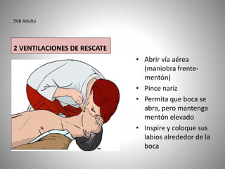 SVB Adulto
2 VENTILACIONES DE RESCATE
• Abrir vía aérea
(maniobra frente-
mentón)
• Pince nariz
• Permita que boca se
abra, pero mantenga
mentón elevado
• Inspire y coloque sus
labios alrededor de la
boca
 