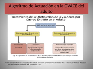 Algoritmo de Actuación en la OVACE del
adulto
Fuente: Versión Oficial del Consejo Español de RCP. Traducción Oficial del Documento del ERC, “ Summary of the main changes in
the Resuscitation Guidelines” ERC, Guidelines 2010
 