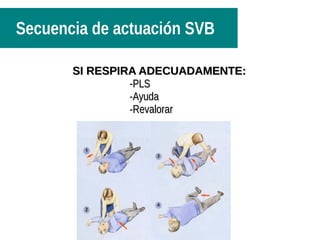 Secuencia de actuación SVB
SI RESPIRA ADECUADAMENTE:SI RESPIRA ADECUADAMENTE:
-PLS-PLS
-Ayuda-Ayuda
-Revalorar-Revalorar
 