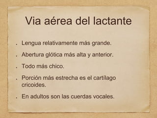 Via aérea del lactante
Lengua relativamente más grande.
Abertura glótica más alta y anterior.
Todo más chico.
Porción más estrecha es el cartílago
cricoides.
En adultos son las cuerdas vocales.
 