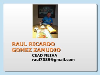 RAUL RICARDO
GOMEZ ZAMUDIO
     CEAD NEIVA
     raul7389@gmail.com
 